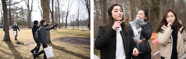 OE students at Lakefield College School tapping and harvesting tree sap to make Maple Syrup and toffee